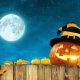Przerażająco dobra promocja na Halloween – 1000 zł za darmo dla nowych klientów Freezl  