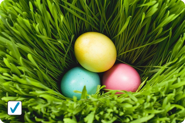 Jesteś przygotowany do Wielkanocy? Lista rzeczy do zrobienia w ramach przygotowań przed świętem  